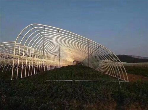 應(yīng)用領(lǐng)域